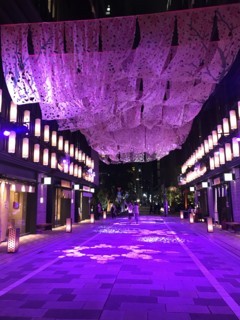 f:id:Magnoliarida:20180411135329j:image