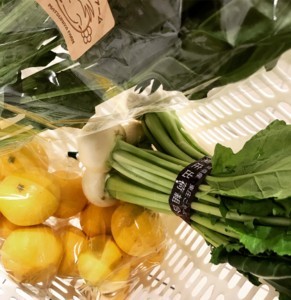 f:id:Magnoliarida:20180420003533j:image