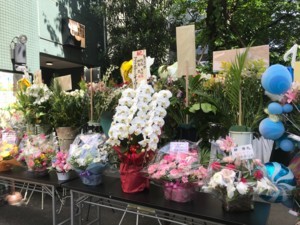 f:id:Magnoliarida:20180430220730j:image