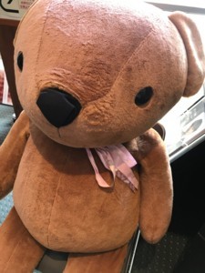 f:id:Magnoliarida:20180503025508j:image