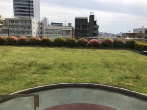 f:id:Magnoliarida:20180503025516j:image