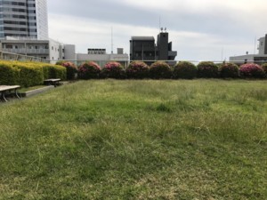 f:id:Magnoliarida:20180503025517j:image