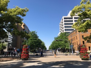 f:id:Magnoliarida:20180505112253j:image