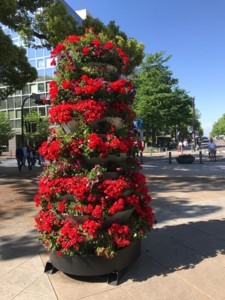 f:id:Magnoliarida:20180505112255j:image