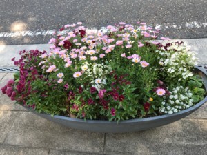 f:id:Magnoliarida:20180505112257j:image