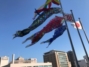 f:id:Magnoliarida:20180505112308j:image