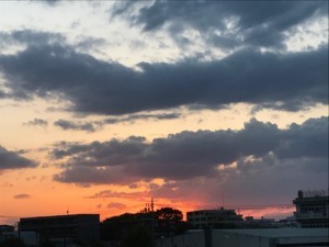 f:id:Magnoliarida:20180505112328j:image