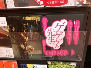 f:id:Magnoliarida:20180605014742j:image