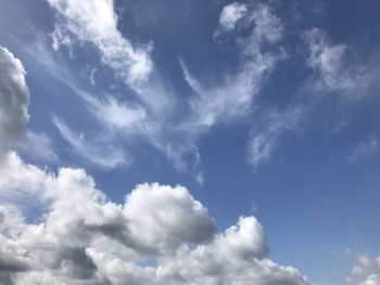 f:id:Magnoliarida:20180609013313j:image