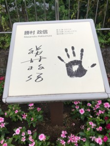 f:id:Magnoliarida:20180624061123j:image