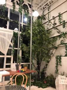 f:id:Magnoliarida:20180715233349j:image