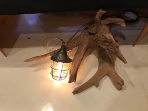 f:id:Magnoliarida:20180825234902j:image