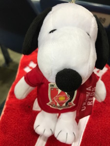 f:id:Magnoliarida:20180903015238j:image