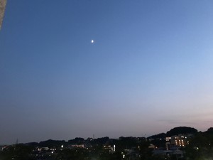 f:id:Magnoliarida:20180917010541j:image