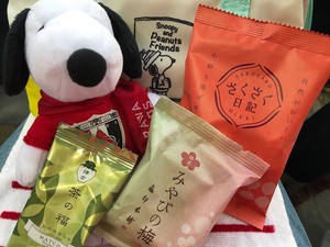 f:id:Magnoliarida:20180928234837j:image