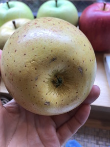 f:id:Magnoliarida:20181026141511j:image