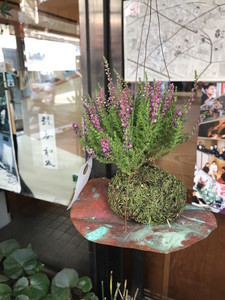 f:id:Magnoliarida:20181026141625j:image