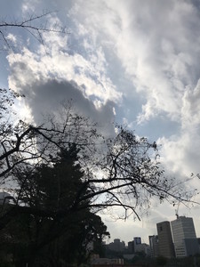 f:id:Magnoliarida:20181026141723j:image