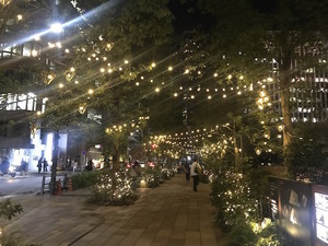 f:id:Magnoliarida:20181031190025j:image