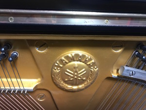 f:id:Magnoliarida:20181122235506j:image