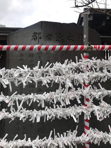 f:id:Magnoliarida:20190107004940j:image