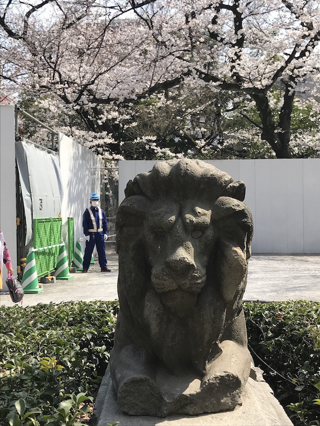 f:id:Magnoliarida:20190327173534j:plain