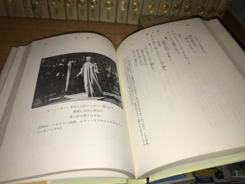 f:id:Magnoliarida:20190507171851j:plain