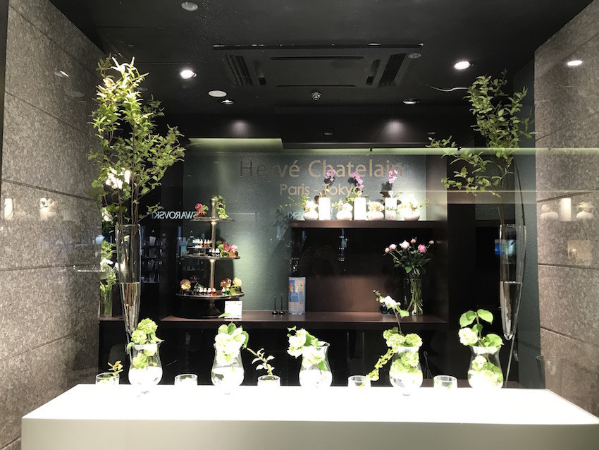 f:id:Magnoliarida:20190521161511j:plain f:id:Magnoliarida:20190521161511j:plain