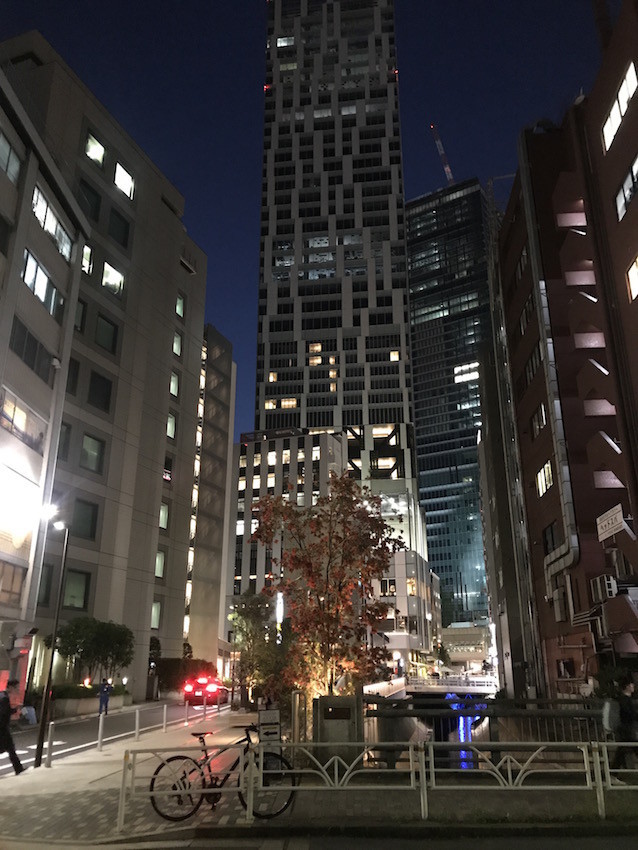 f:id:Magnoliarida:20190528115414j:plain f:id:Magnoliarida:20190528115414j:plain