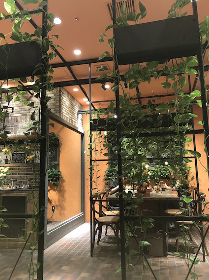 f:id:Magnoliarida:20190619162410j:plain f:id:Magnoliarida:20190619162410j:plain