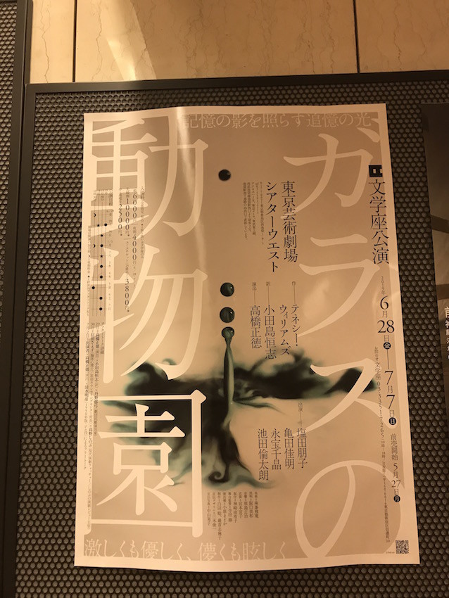 f:id:Magnoliarida:20190708162931j:plain f:id:Magnoliarida:20190708162931j:plain