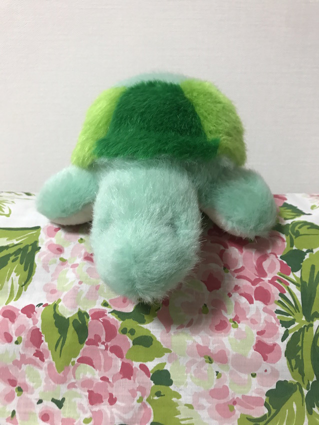 f:id:Magnoliarida:20190729151640j:plain f:id:Magnoliarida:20190729151640j:plain