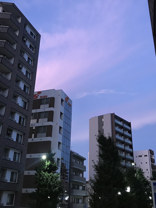 f:id:Magnoliarida:20190813115020j:plain f:id:Magnoliarida:20190813115020j:plain