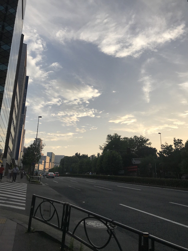 f:id:Magnoliarida:20190819130841j:plain f:id:Magnoliarida:20190819130841j:plain
