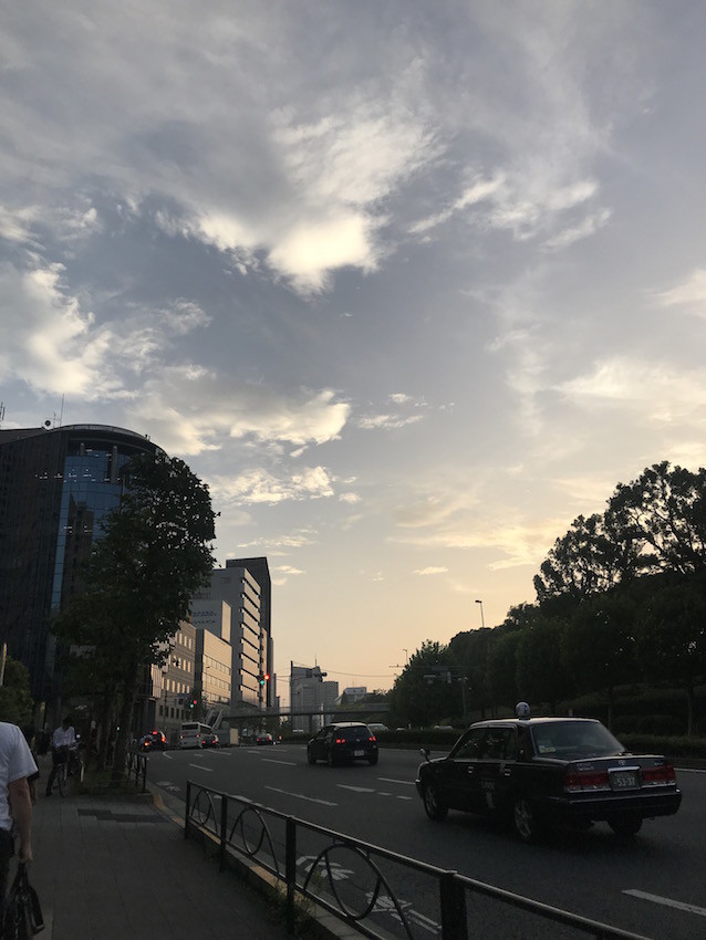 f:id:Magnoliarida:20190819131001j:plain f:id:Magnoliarida:20190819131001j:plain