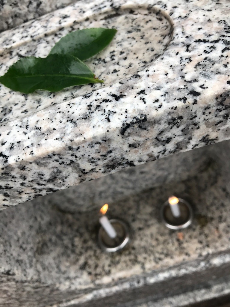 f:id:Magnoliarida:20190922210853j:image f:id:Magnoliarida:20190922210853j:image