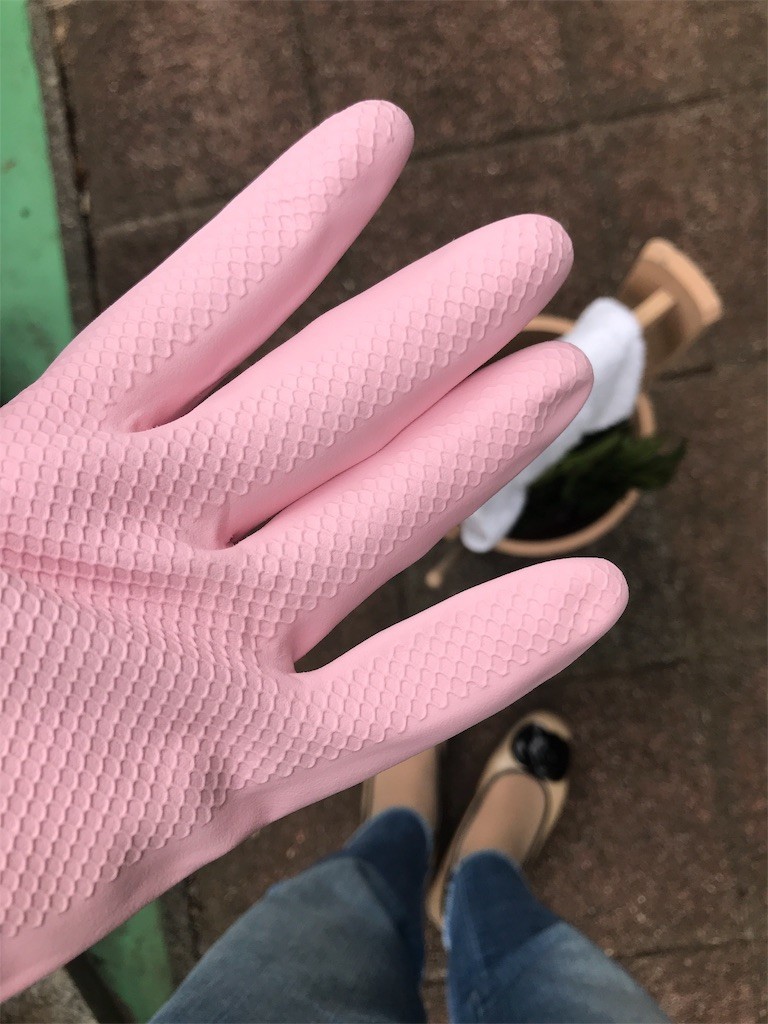 f:id:Magnoliarida:20190922210858j:image f:id:Magnoliarida:20190922210858j:image