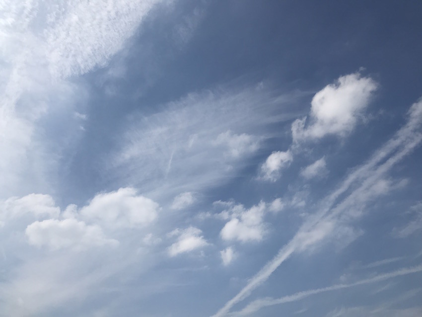 f:id:Magnoliarida:20190930132731j:plain f:id:Magnoliarida:20190930132731j:plain