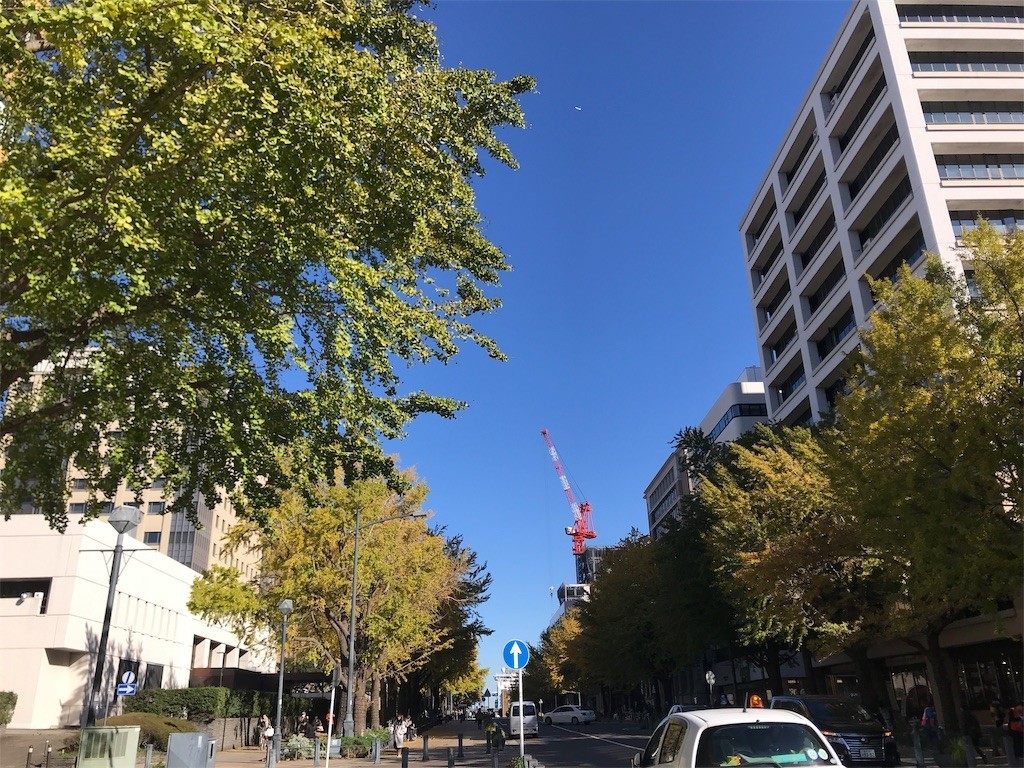 f:id:Magnoliarida:20191130002410j:image