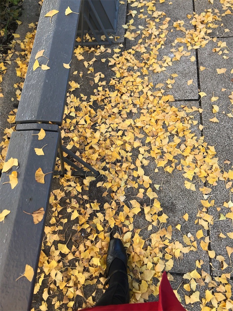 f:id:Magnoliarida:20191130002526j:image