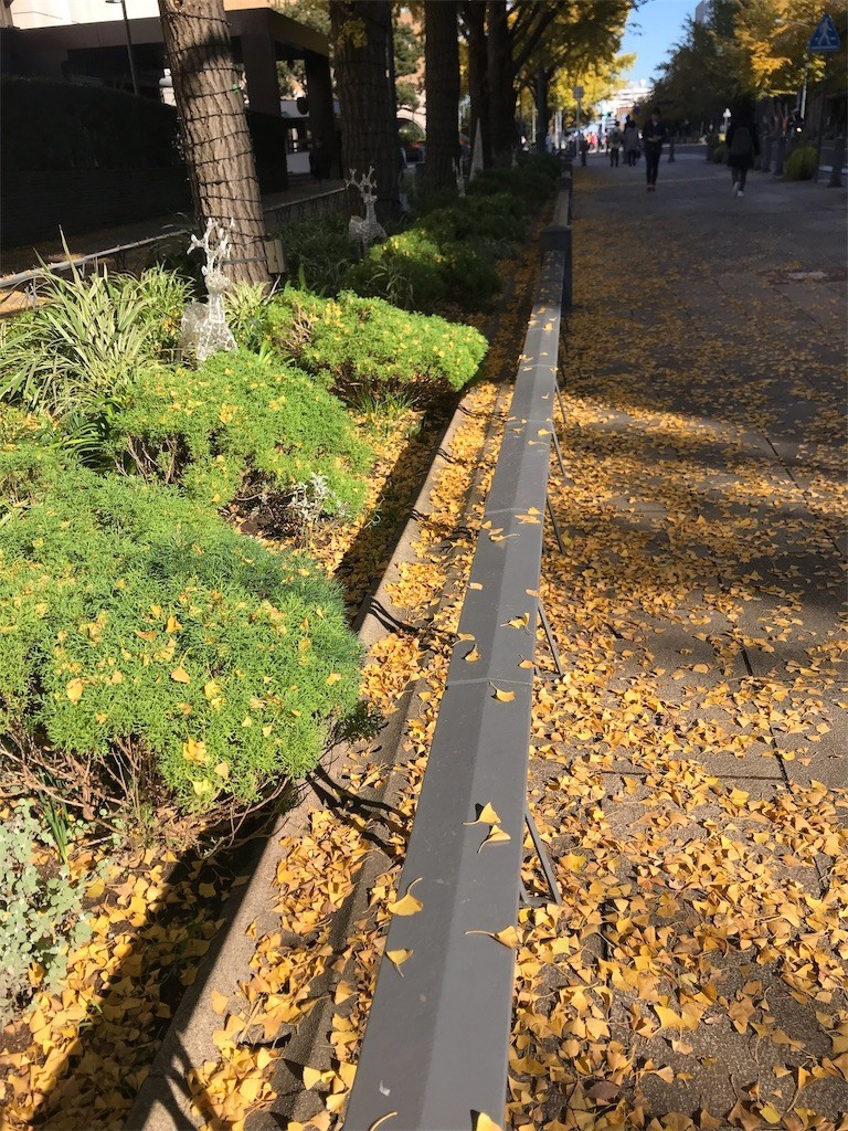 f:id:Magnoliarida:20191130002552j:image