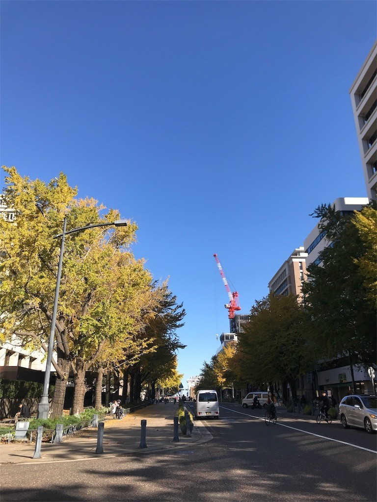 f:id:Magnoliarida:20191130003157j:image