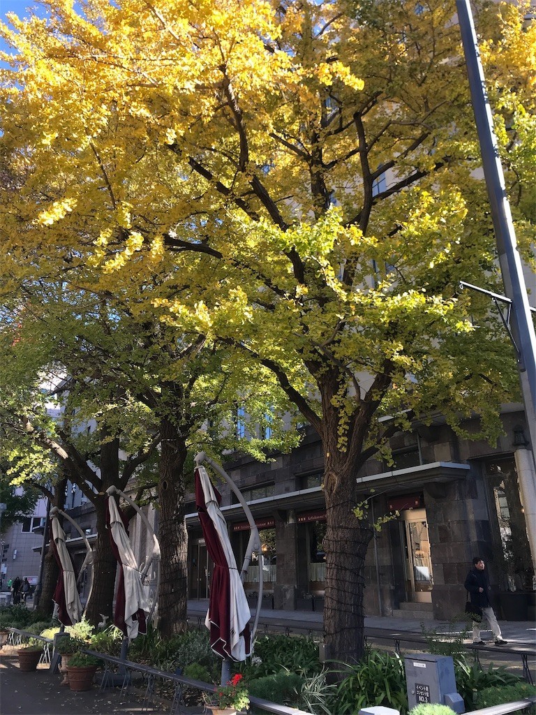 f:id:Magnoliarida:20191130003234j:image