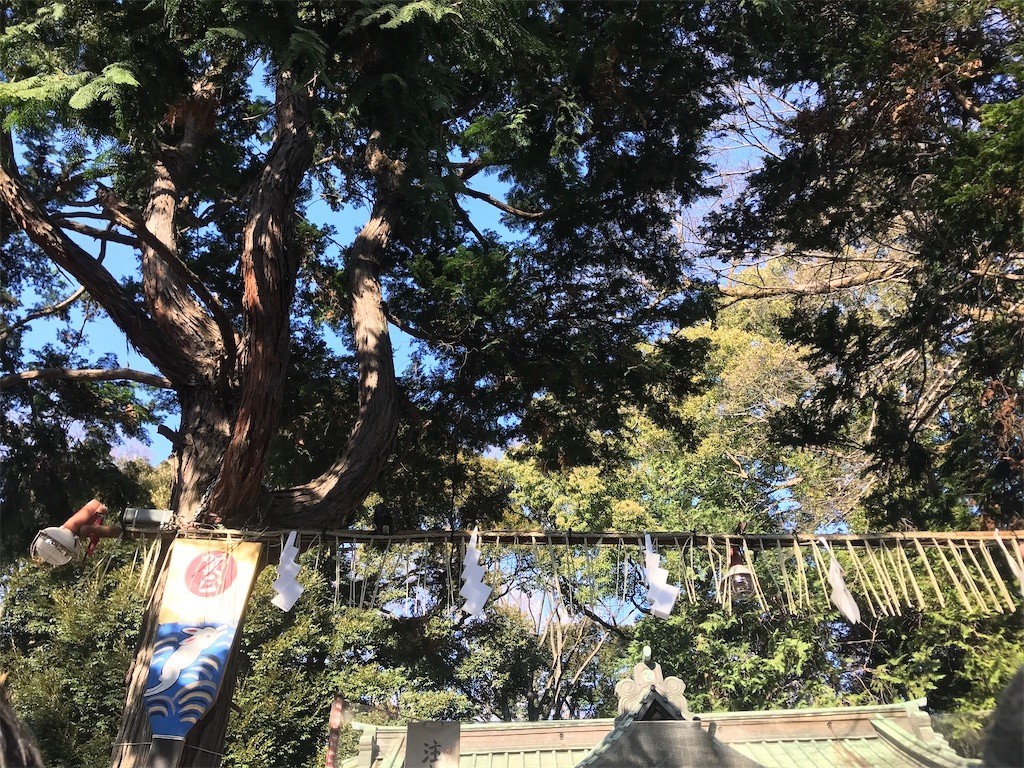 f:id:Magnoliarida:20200103184043j:image