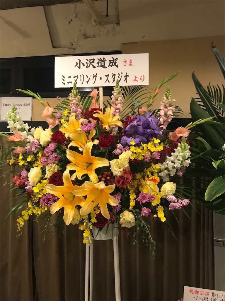 f:id:Magnoliarida:20200113015059j:image f:id:Magnoliarida:20200113015059j:image