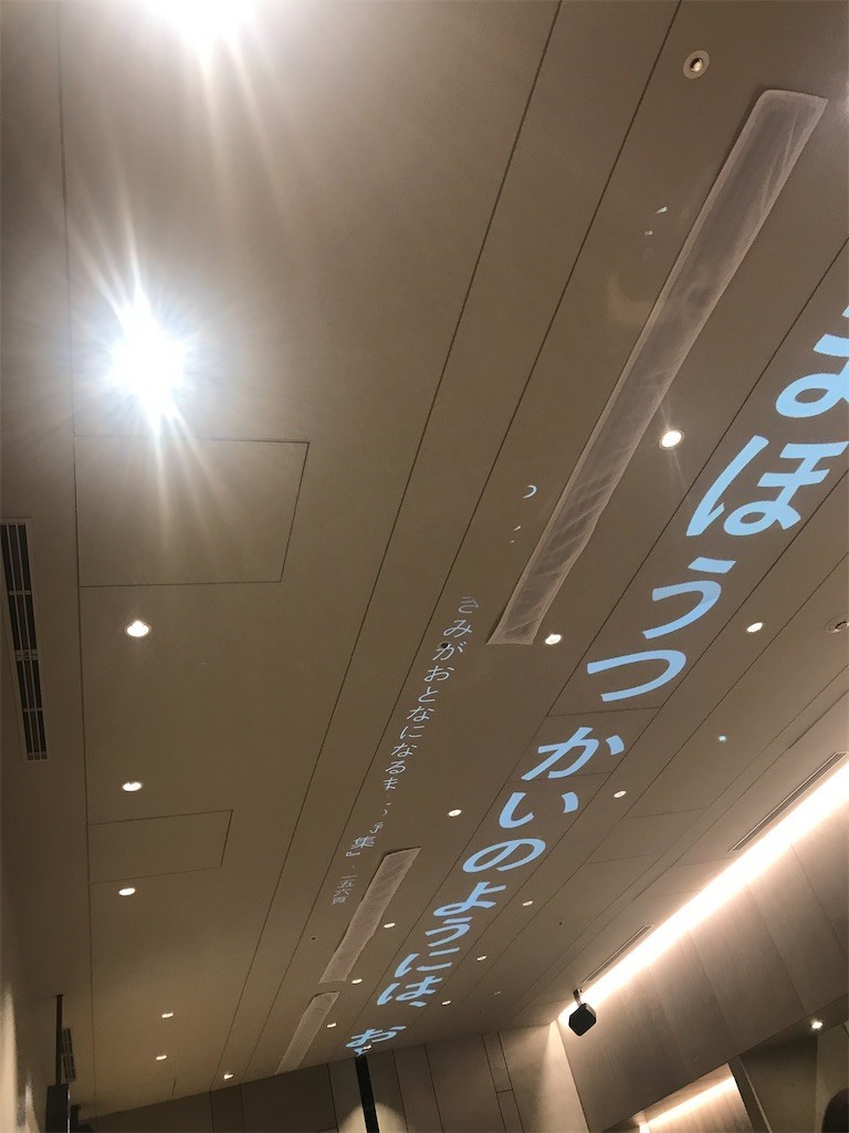 f:id:Magnoliarida:20200119010838j:image