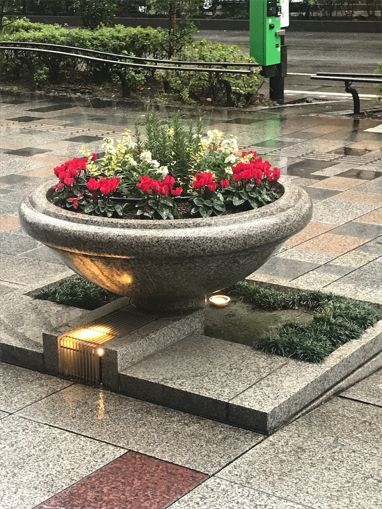 f:id:Magnoliarida:20200119015231j:image