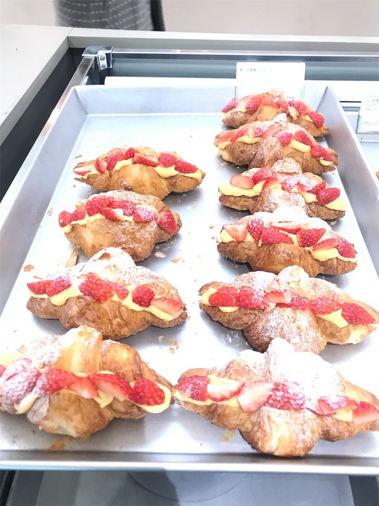 f:id:Magnoliarida:20200126023921j:image f:id:Magnoliarida:20200126023921j:image