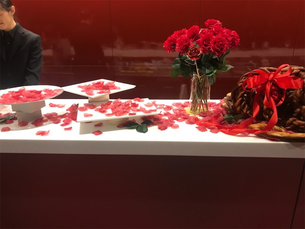 f:id:Magnoliarida:20200213083505j:image f:id:Magnoliarida:20200213083505j:image