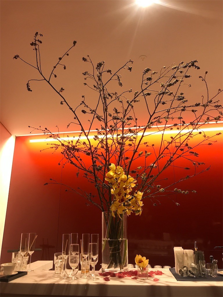 f:id:Magnoliarida:20200213083816j:image f:id:Magnoliarida:20200213083816j:image